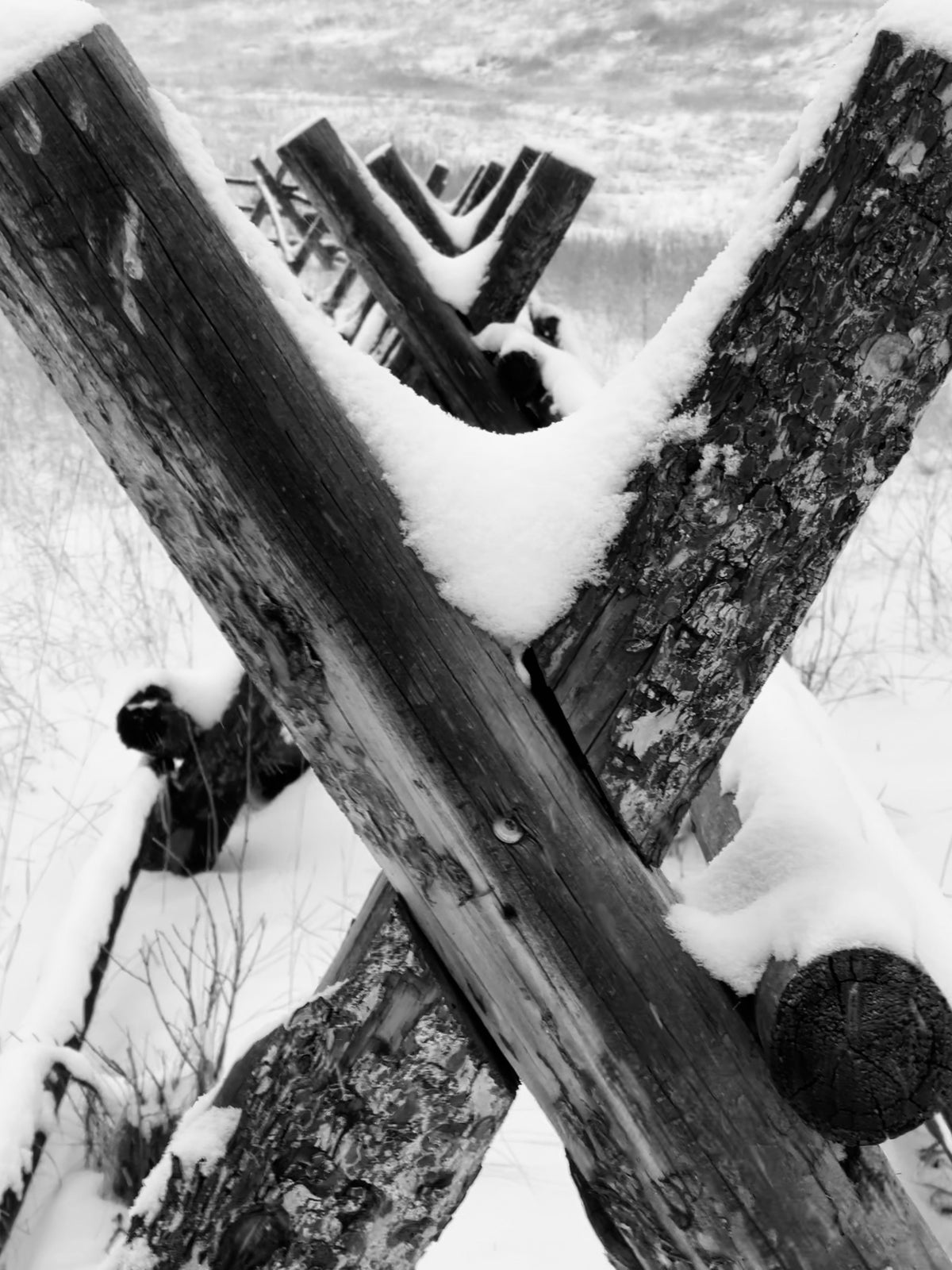 Winters in Livingston: Building Rods, Waiting for Spring, and Keeping the Season Going